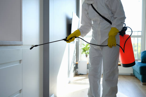 Best Mold Remediation for Specific Building Types in Gainesville, VA