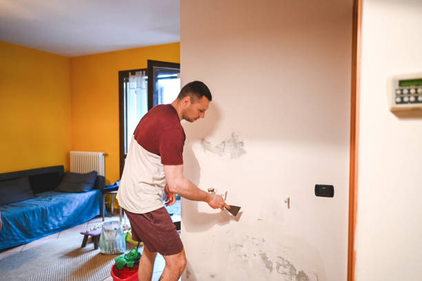 Best Bathroom Mold Remediation in Gainesville, VA